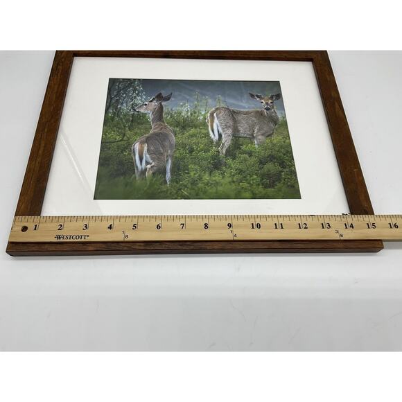 Caleb Koland Deer Wildlife Landscape Photo Print Framed Vintage Signed Wall Art - Picture 3 of 6